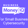 Money iQ Business